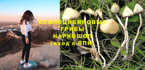 PSILOCYBIN Вязники